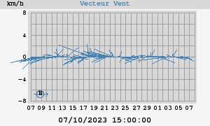 Wind Vector