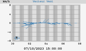 Wind Vector