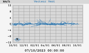 Wind Vector